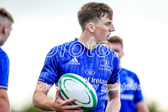 17-08-2019-CGJ25409.JPG