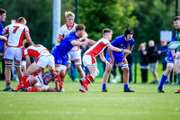 17-08-2019-SWYL0368.JPG