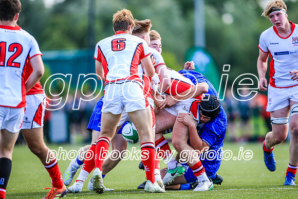 17-08-2019-SWYL0434.JPG