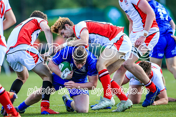 17-08-2019-SWYL0435.JPG