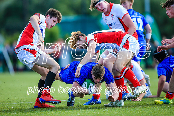 17-08-2019-SWYL0437.JPG