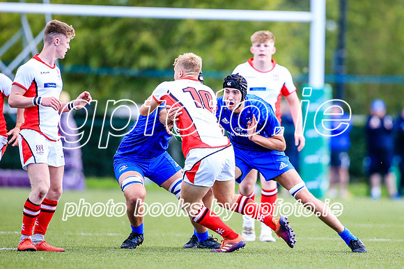 17-08-2019-SWYL0511.JPG