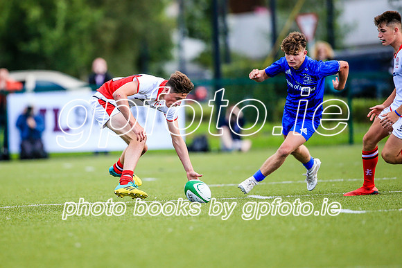 17-08-2019-SWYL0535.JPG