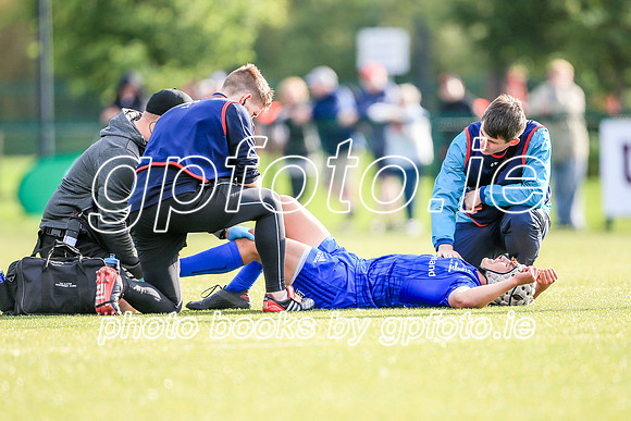 17-08-2019-SWYL0879.JPG