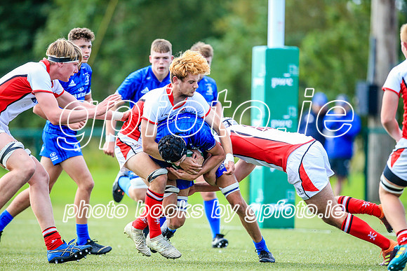 17-08-2019-CGJ25207.JPG