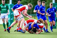 17-08-2019-CGJ25210.JPG