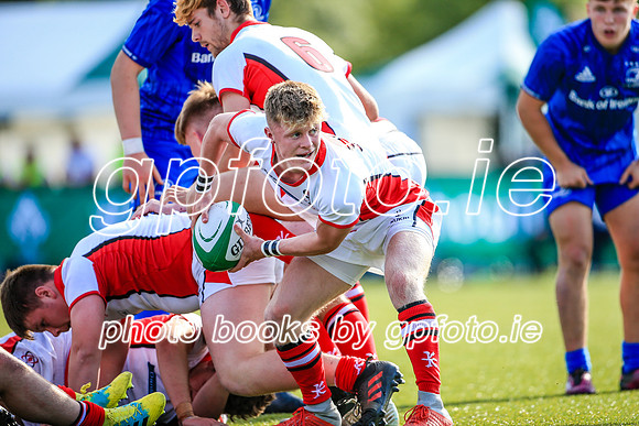 17-08-2019-SWYL0356.JPG