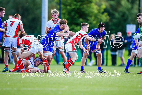 17-08-2019-SWYL0368.JPG