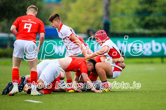 21-08-2019-SWYL2791.JPG