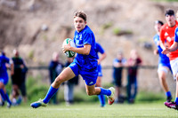 Leinster Schools