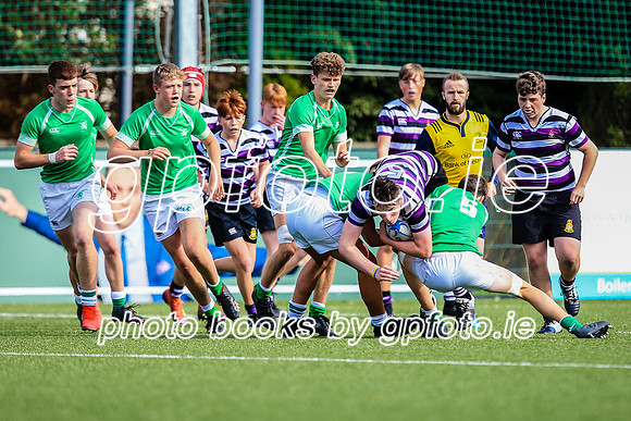 CGJ22197