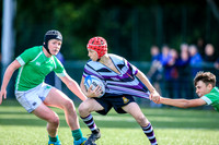 Terenure v Gonzaga