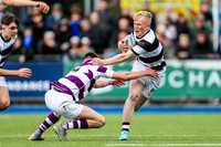 Belveder v Clongowes SCT24 Cup Match