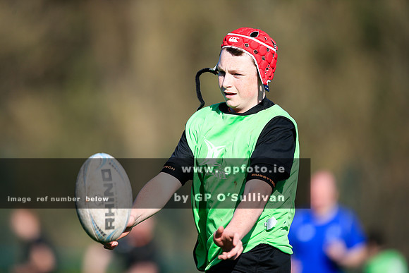 gpfoto.ie