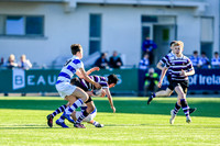26-02-19IMGL9219