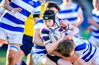 Terenure v Blackrock (Match) JCT19