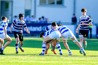 26-02-19IMGL9209