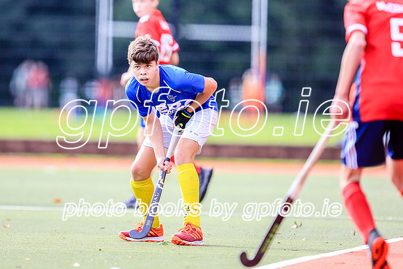 14-09-2019-CGJ25171.JPG