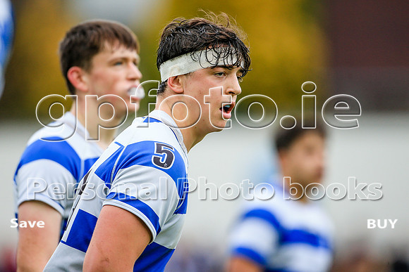 13-11-2021-SWYL6897
