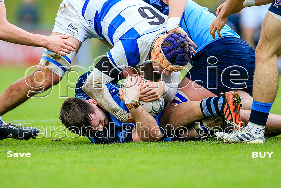 13-11-2021-SWYL6960