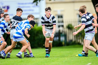 Pres Cork JCT