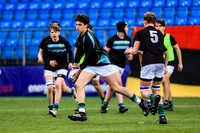 St Gerards v CBC Monkstown JCT 2024