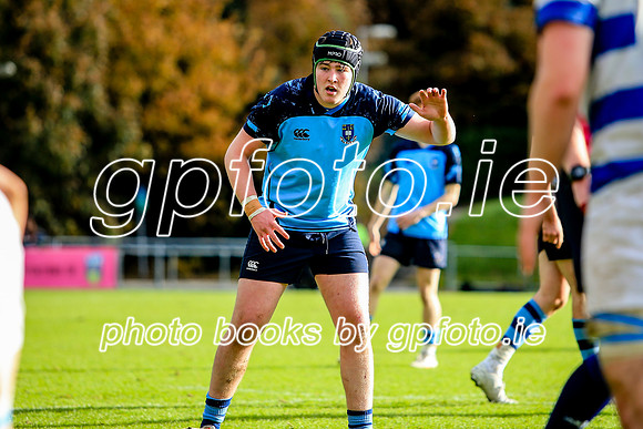 13-11-2021-CGJ20841