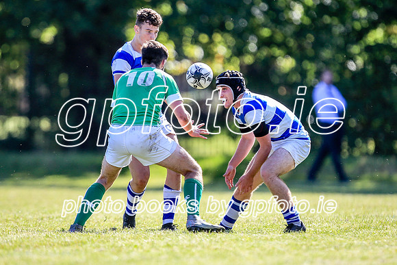 20-09-2019-CGJ26092.JPG