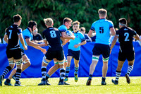 20-09-2019-SWYL7098.JPG