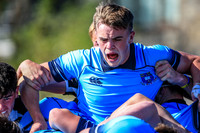 20-09-2019-SWYL7107.JPG