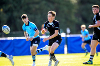 20-09-2019-SWYL7052.JPG