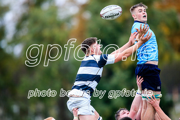 01-11-2019-CGJ27291