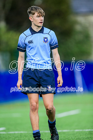 02-11-2019-CGJ28645