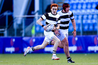 Belvedere v Gonzaga SCT24 Cup Match