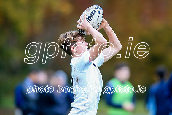 06-11-2019-CGJ29137