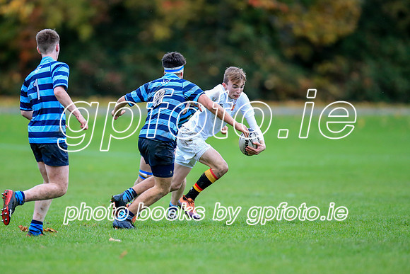 06-11-2019-CGJ29193