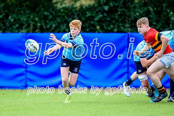 02-11-2019-CGJ28192
