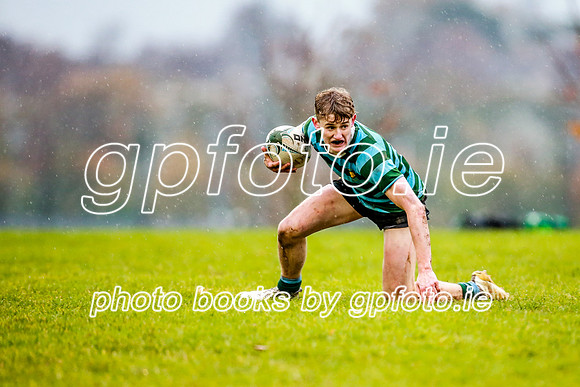 13-11-2019-CGJ20211.JPG