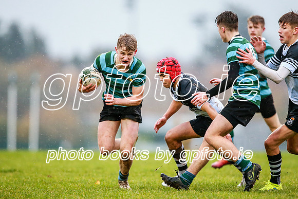 13-11-2019-CGJ20217.JPG
