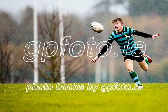 13-11-2019-CGJ20244.JPG