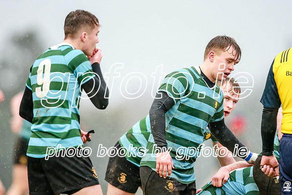 13-11-2019-CGJ20300.JPG