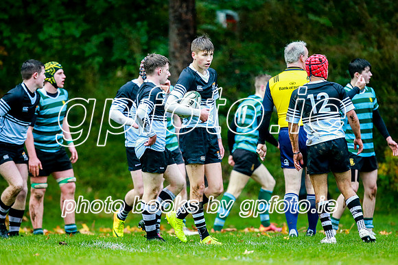 13-11-2019-CGJ20157.JPG