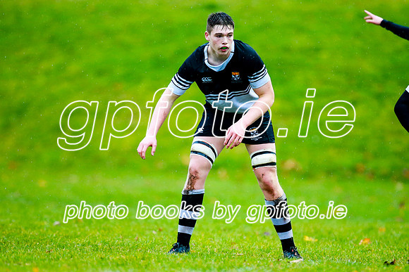 13-11-2019-CGJ20194.JPG