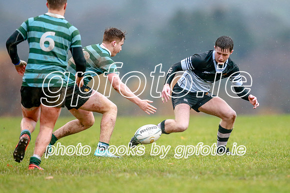 13-11-2019-CGJ20473.JPG