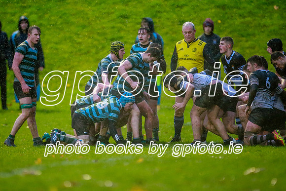13-11-2019-CGJ21000.JPG