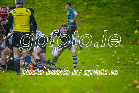 13-11-2019-CGJ21043.JPG