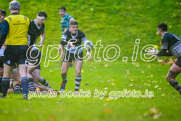 13-11-2019-CGJ21044.JPG