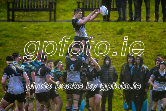13-11-2019-CGJ21055.JPG