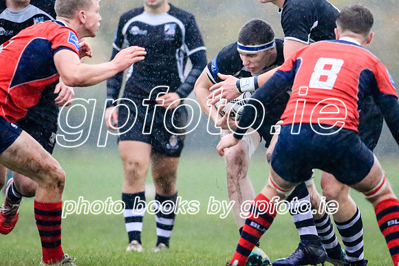 13-11-2019SWYL8846JPG