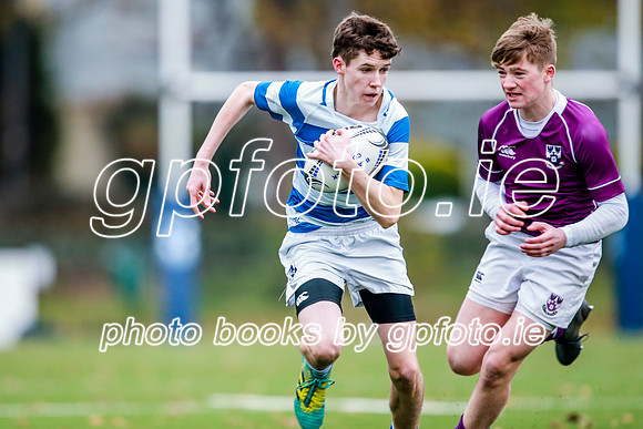 16-11-2019-CGJ22520.JPG